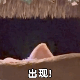 玲娜贝儿表情包。