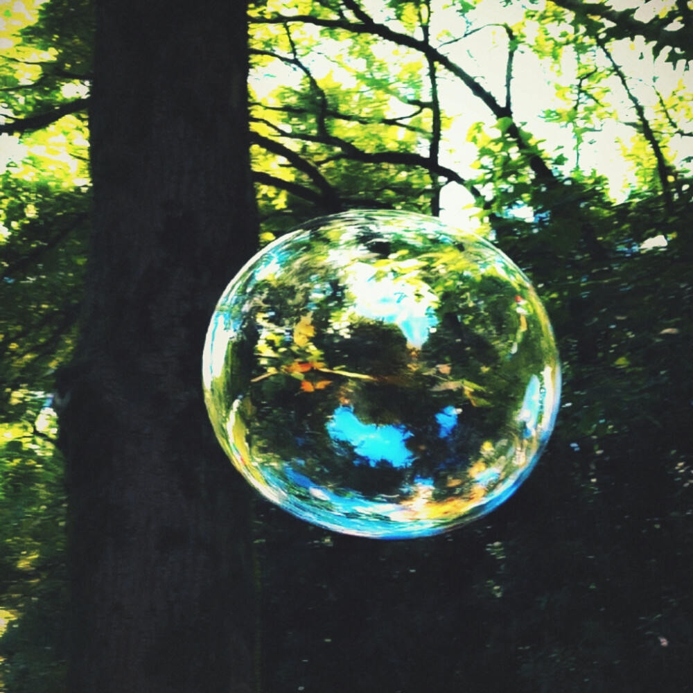 你垂下眼睫时的阴影比苔藓更潮湿