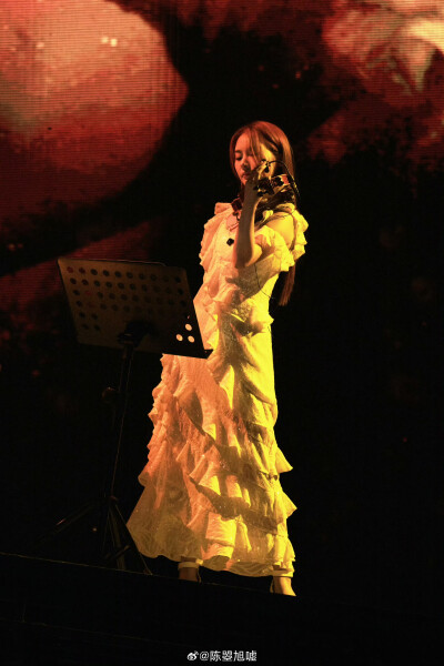 嘘姐在远远演唱会北京站