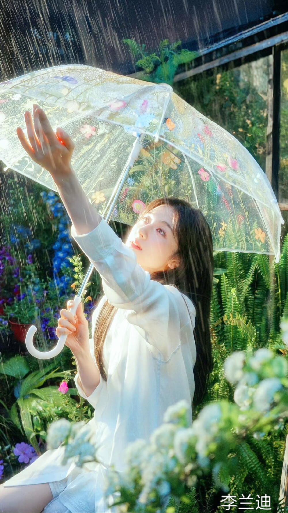 李兰迪