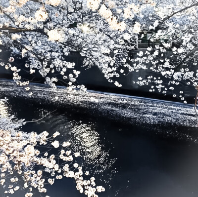 Only 너'Hebben&愛情深い目^