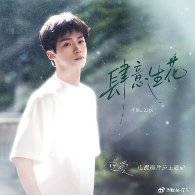 王安宇