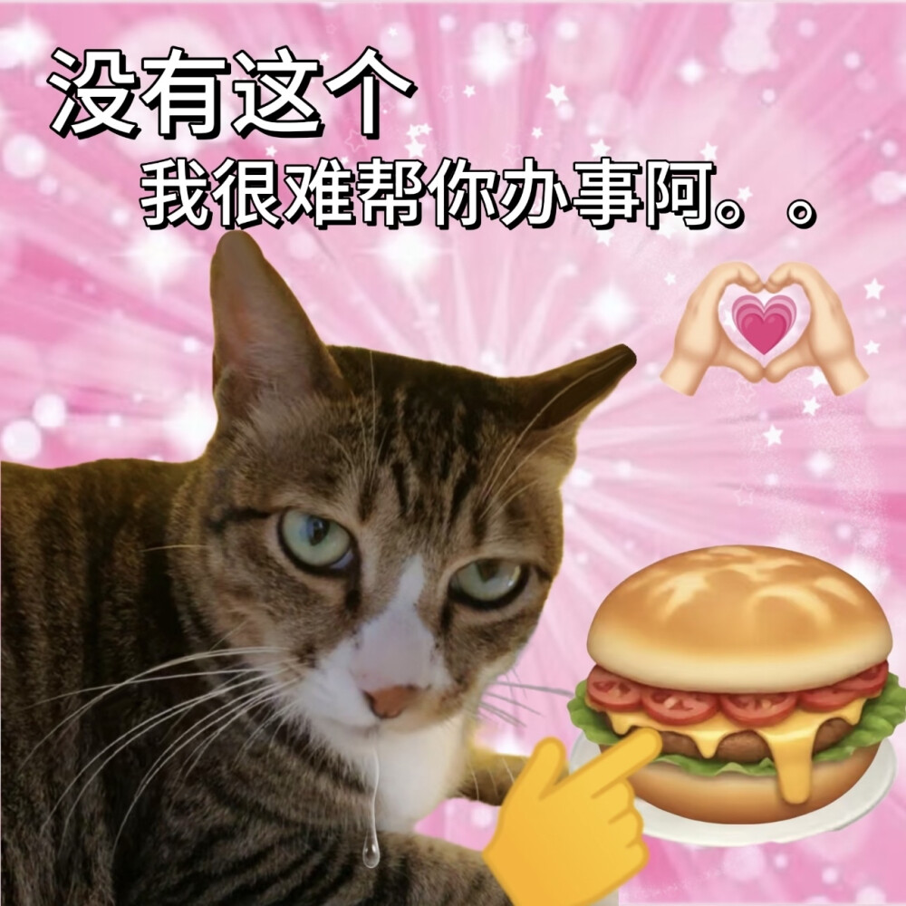 沙雕猫咪表情包