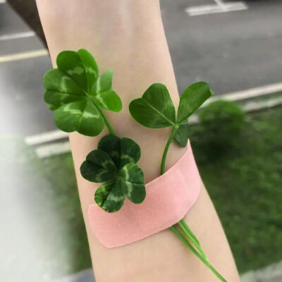 
是谁收到了图片呀 是我
