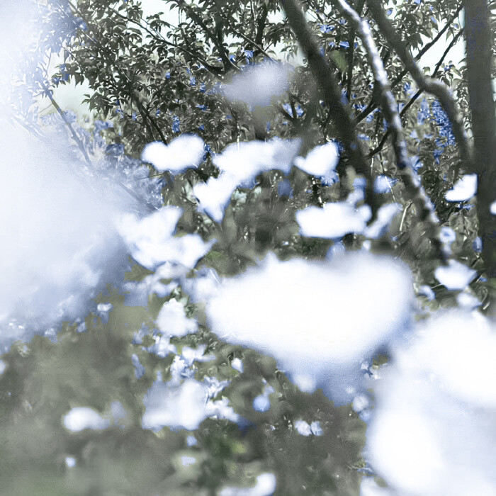  “告白”· 심장동 소리 샘플링 —— ‘Y&U’ Ich mag dich