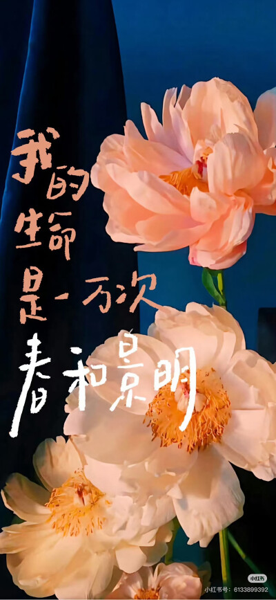 壁纸