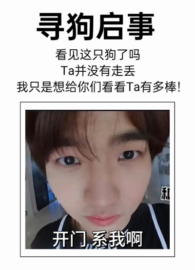我真是甜菜