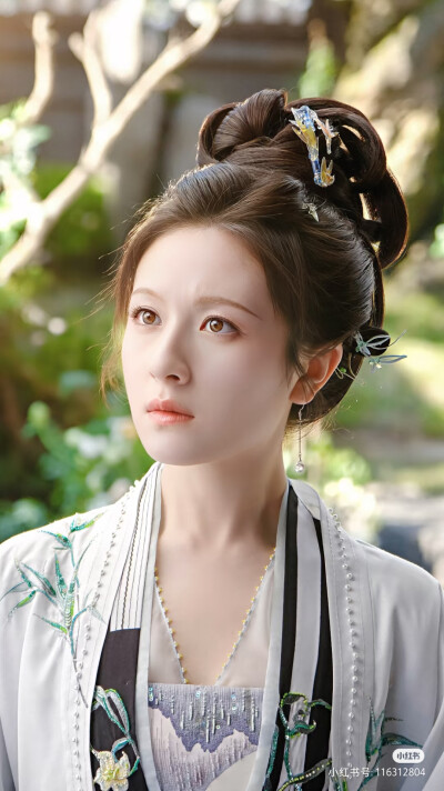 李兰迪 朝雪录