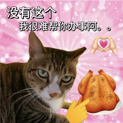 沙雕猫咪表情包