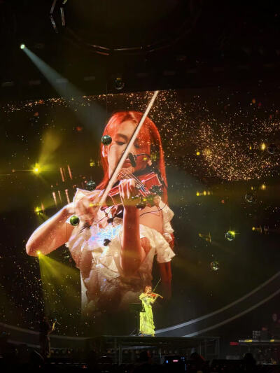 嘘姐在远远演唱会北京站