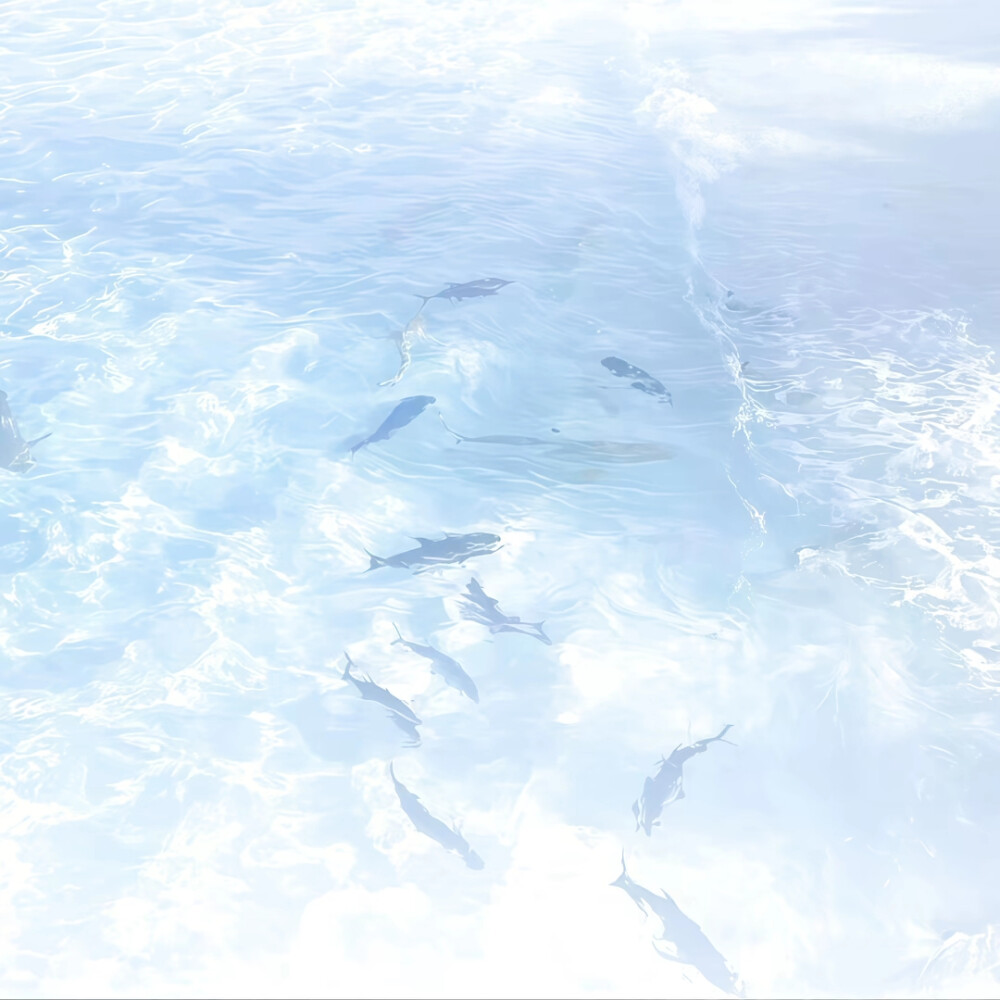 背景