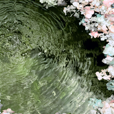在春天播下一粒希望的种子