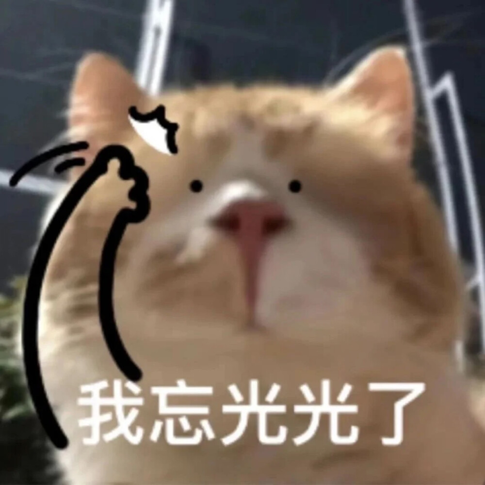 沙雕动物表情包