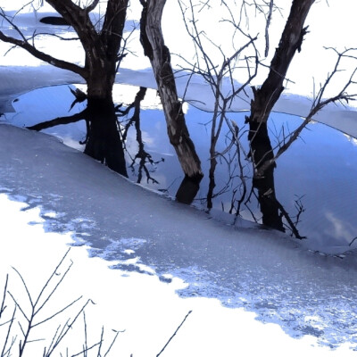 看一场雪融化又冻结