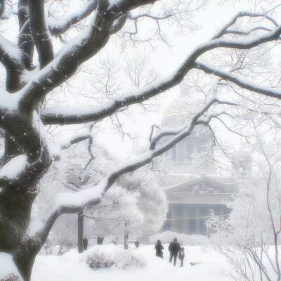 ᙏ̤̫͚ ꪔ̤̮ ꪔ̤̥ ꪔ̤̱ ꪔ͈̮ ꪔ̤̫ ₍ᐢ..ᐢ₎⊹