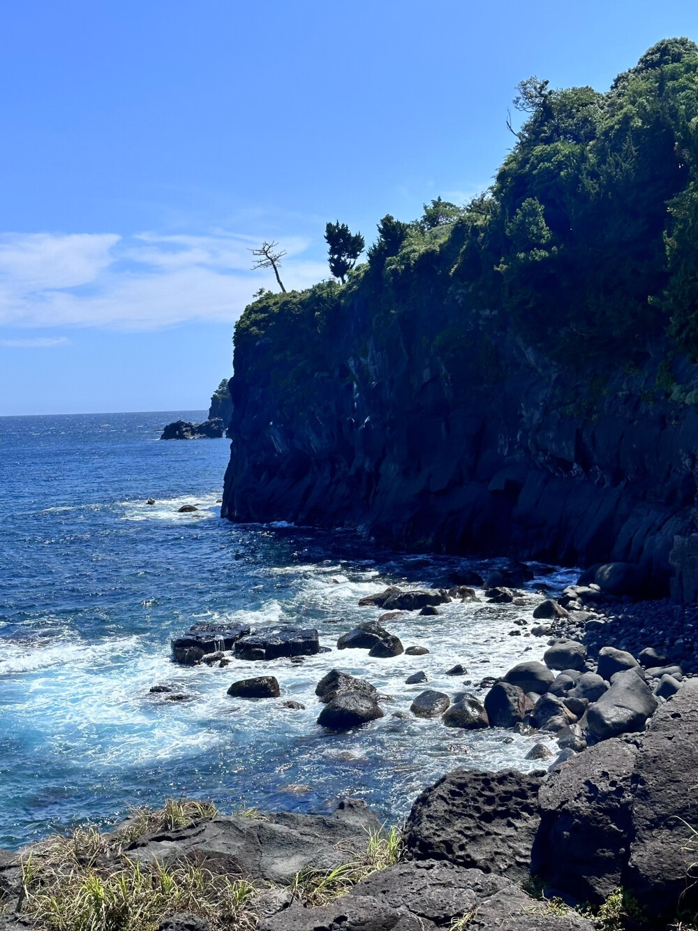 海岸