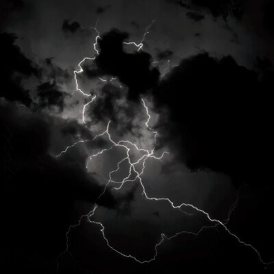 Árboles viejos /（黛鸦）*第十四行诗…