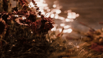 清华北大不录取我，是盘不住龙中龙，还是卧不住虎中虎？