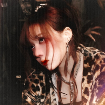 清华北大不录取我，是盘不住龙中龙，还是卧不住虎中虎？