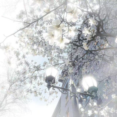 ᙏ̤̫͚ ꪔ̤̮ ꪔ̤̥ ꪔ̤̱ ꪔ͈̮ ꪔ̤̫ ₍ᐢ..ᐢ₎⊹