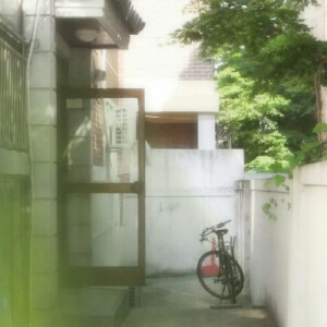 眸间花事《Flowers in the Eyes》