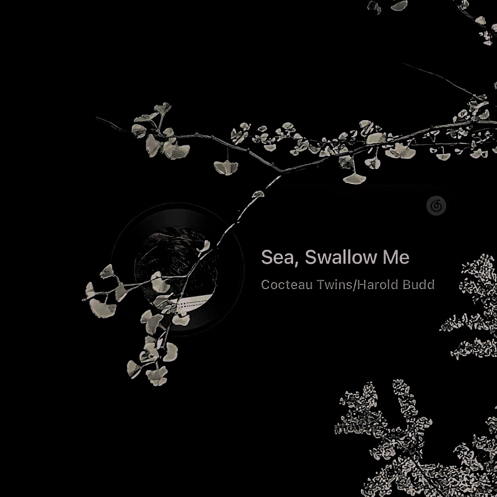 Árboles viejos /（黛鸦）*第十四行诗…