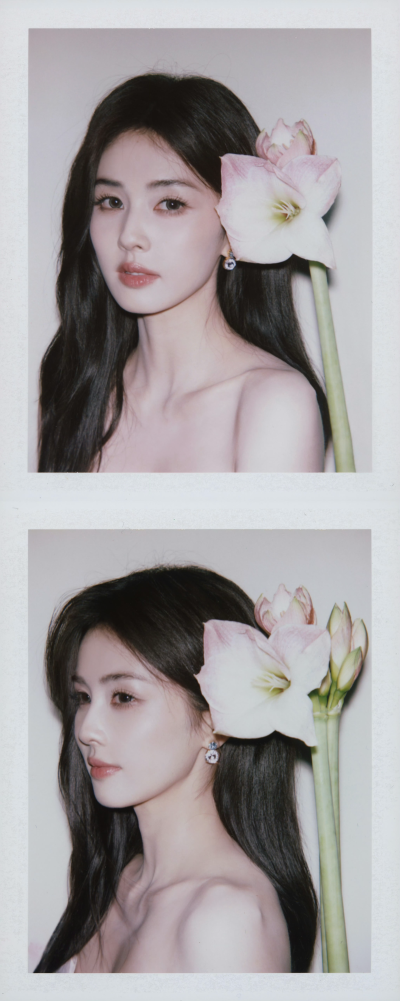 白鹿