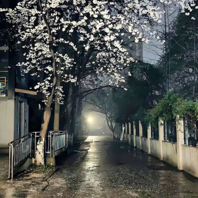 背景图
