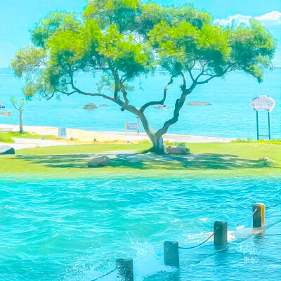 包上恩