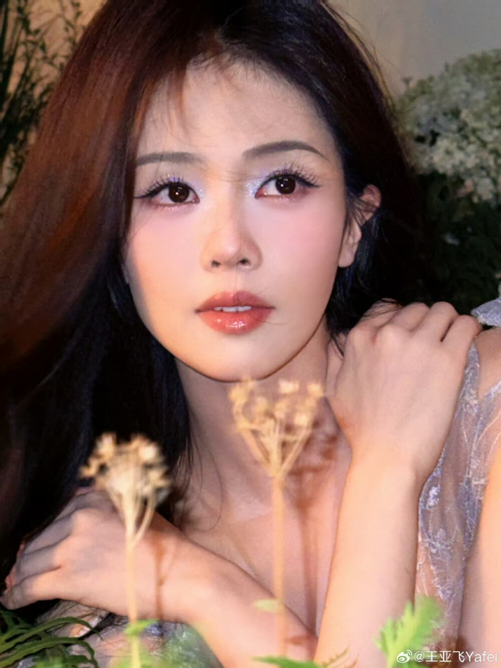 白鹿