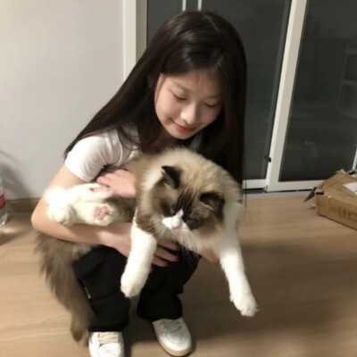 一起看愚蠢的晚霞吧