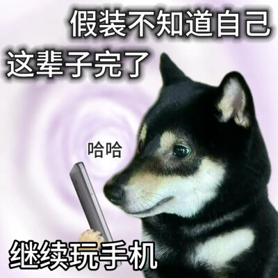 表情包