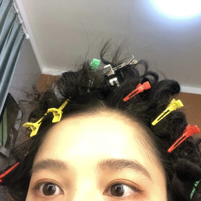 张婧仪