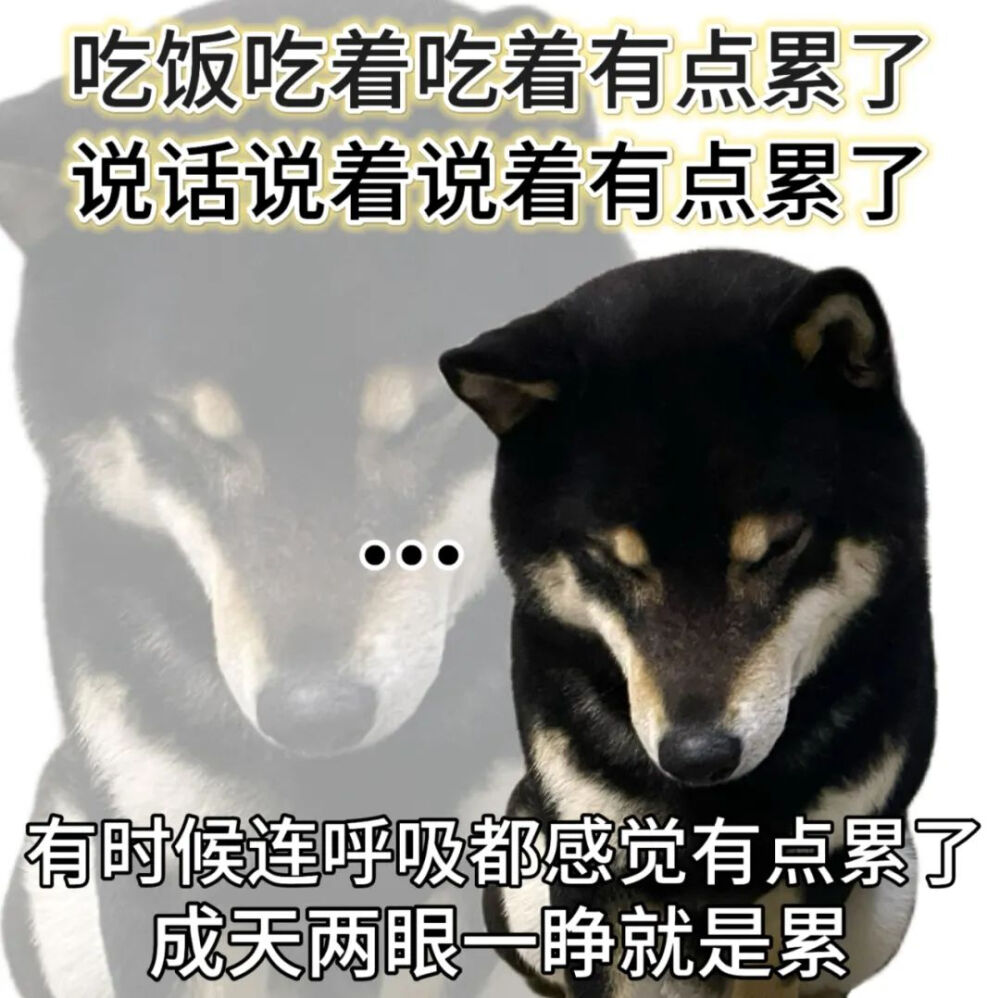 表情包