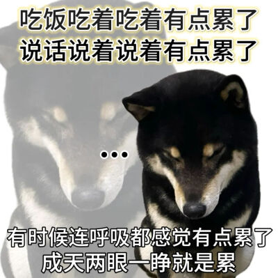 表情包