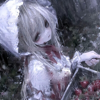 dt叶