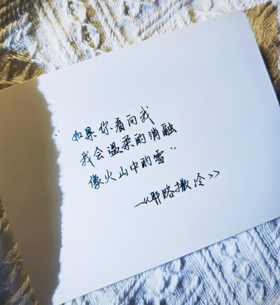 尽管我的道路从头到尾都长满了杂草，但也只有我自己是我这一生的见证人。 - 赫拉巴尔 