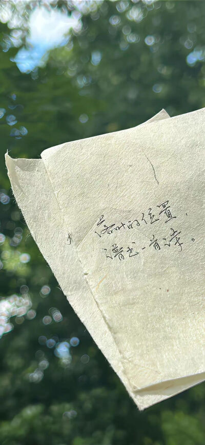 手机壁纸