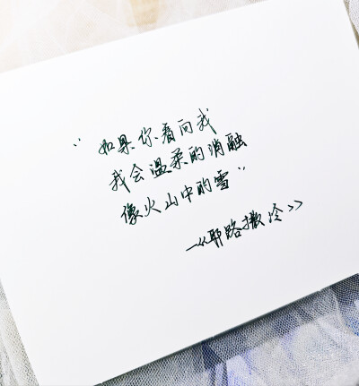 尽管我的道路从头到尾都长满了杂草，但也只有我自己是我这一生的见证人。 - 赫拉巴尔 