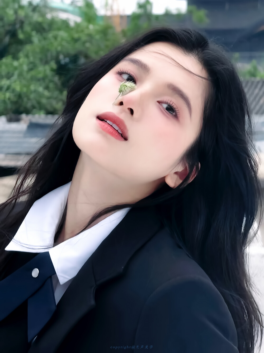 张婧仪｜至若春和景明