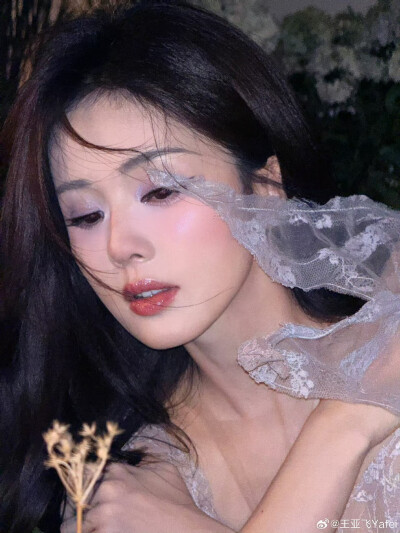 白鹿