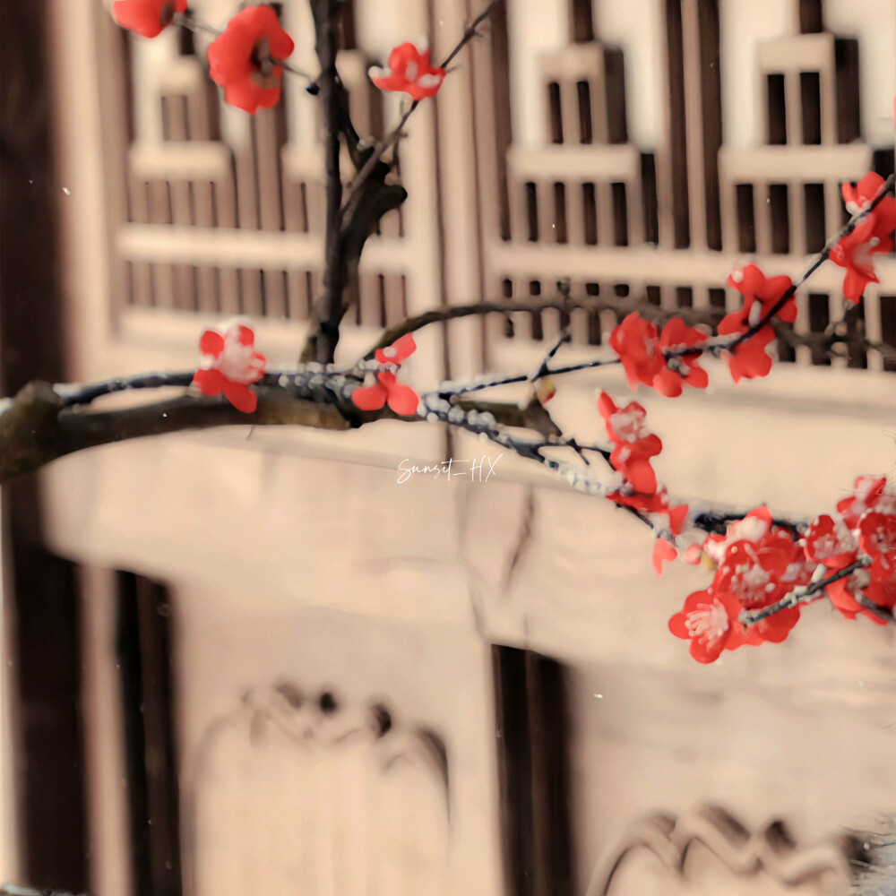 ''추운 겨울-雪芽梅子季（Spring is coming...）