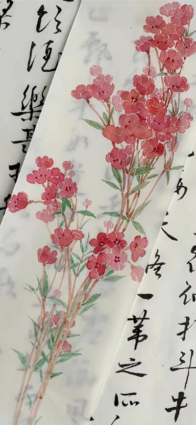 手机壁纸