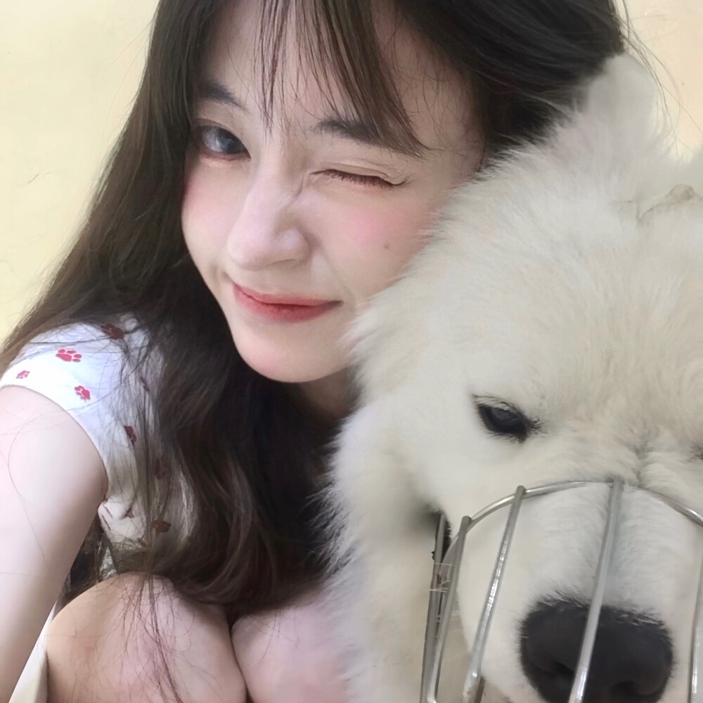 一起看愚蠢的晚霞吧