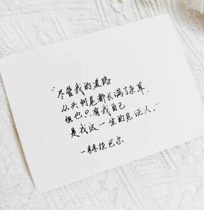 尽管我的道路从头到尾都长满了杂草，但也只有我自己是我这一生的见证人。 - 赫拉巴尔 