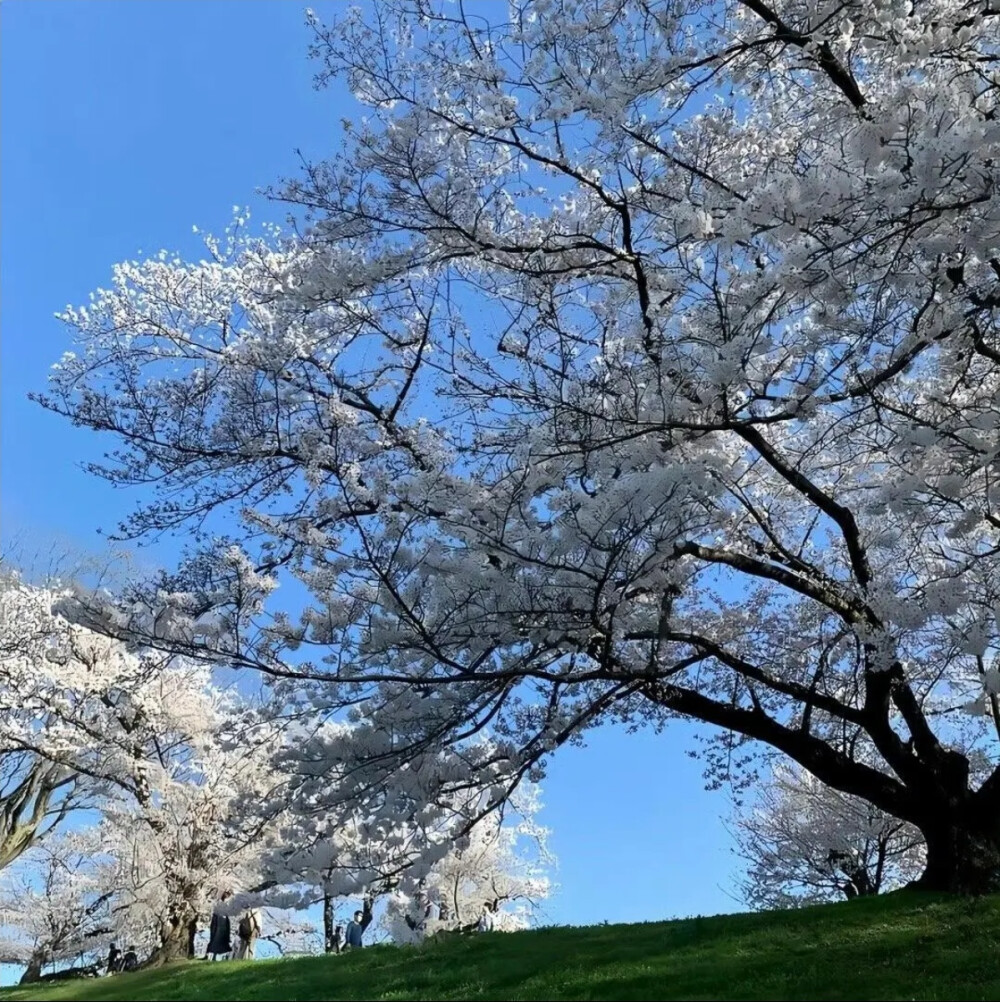 背景图