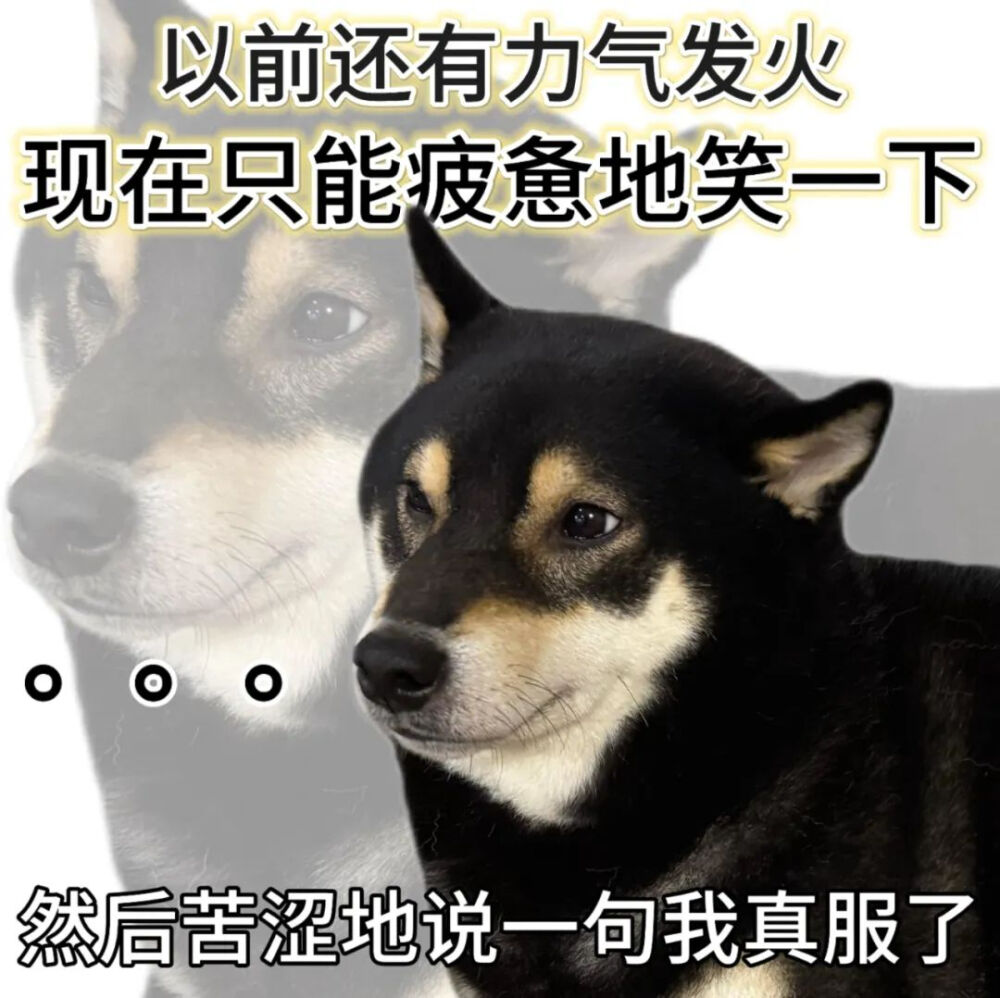 表情包