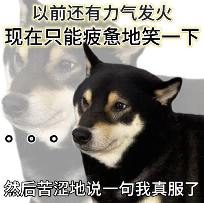 表情包