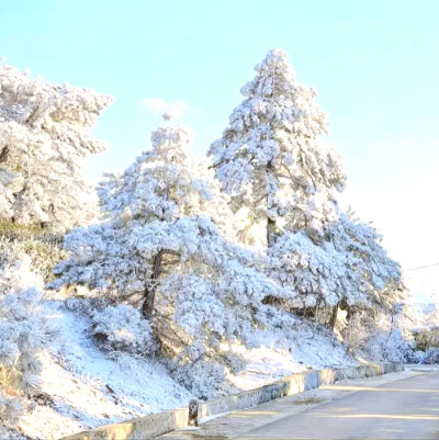 程韫宝宝送哒