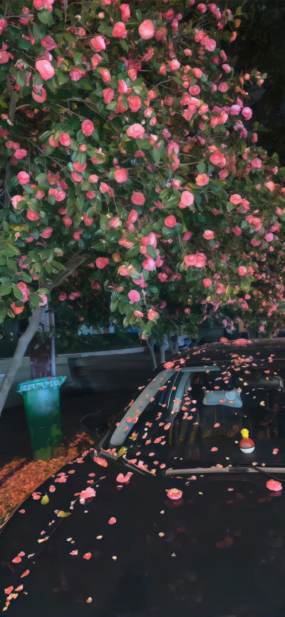 酷